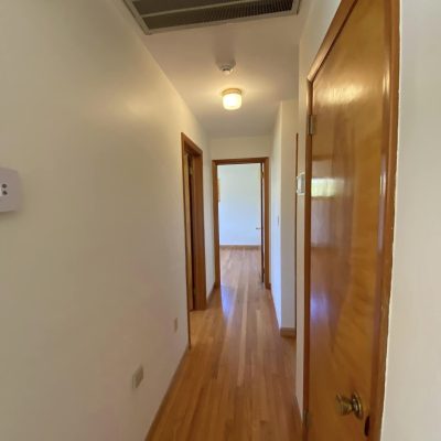 Ziegler Painting & Drywall Repair
