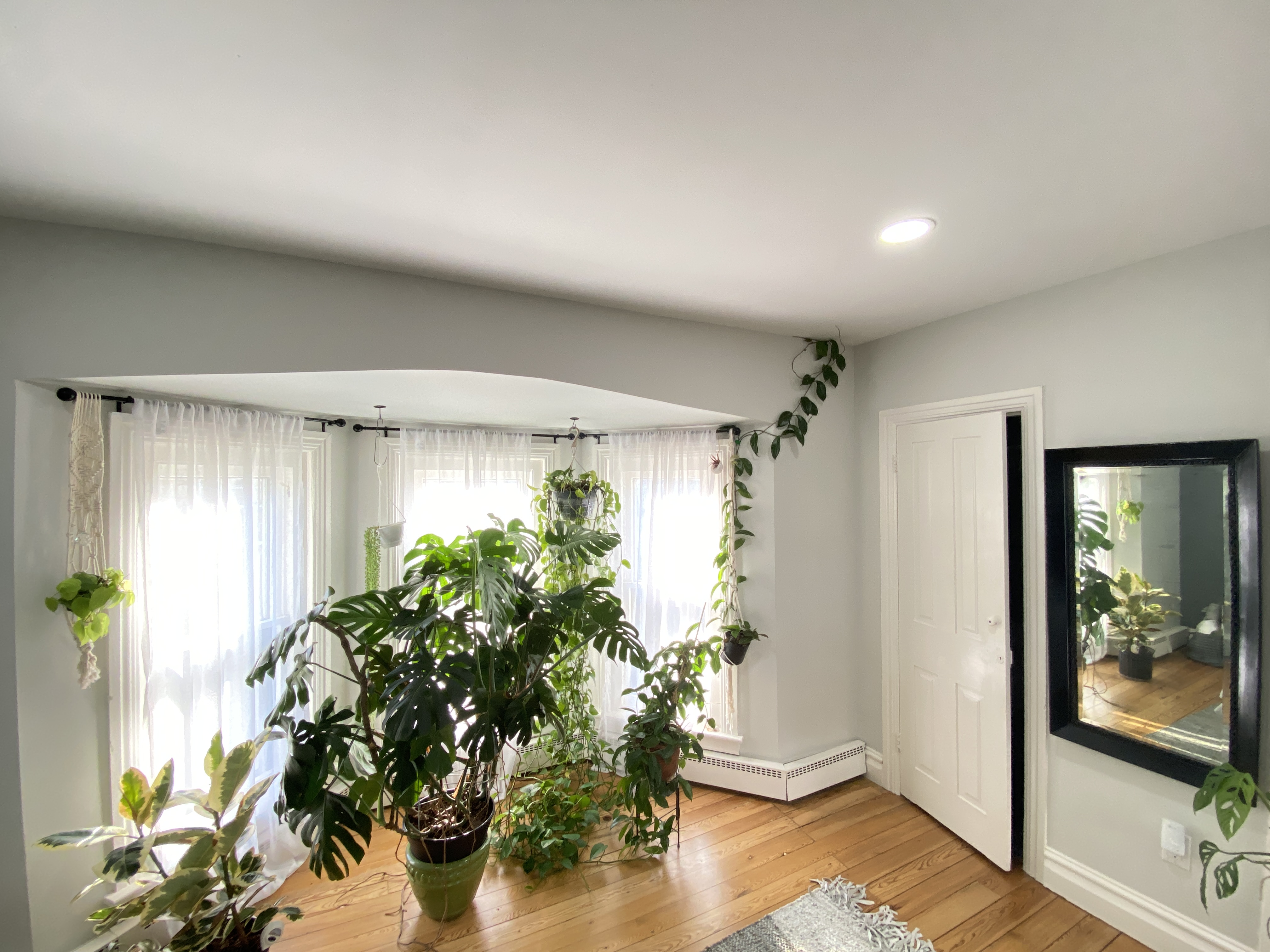 Ziegler Painting & Drywall Repair